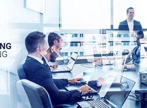 Insight consultation services